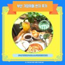 해운대로 | 기장에서 만났던 감성카페 '반지'｜현재는 해운대로 이전한 식물카페 후기