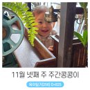 주간콩콩이 _ 병원 릴레이 끝, 첫눈, 노래 가사 번갈아 부르기, 엄마의 은물교실, 립밤