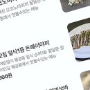 수원-0952 | 감성 철판 요리로 수원 행궁동 데이트 코스 감성 올리기, 톤톤톤 수원본점 방문 후기요!