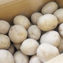 친환경우리농장 | 국내산감자 추천 느림보농원 친환경 삶은감자 솔직후기