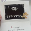 신선나또(주)