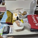 운동장 | 아산 블루포레스트 강아지 운동장 대관 후기