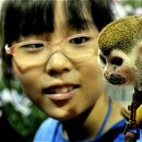 홍문표농장 이미지