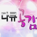 미디어 파라콘