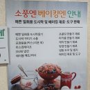 디씨홈마트 | 새로 산 물건( 알뜰주걱 추천