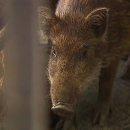 강화읍-8 이미지