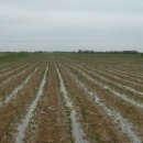 신강농장 이미지