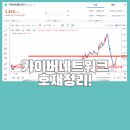 메타비스 이미지