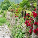 금강초롱황토펜션 이미지