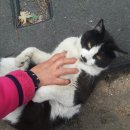 형제모터스 이미지