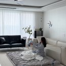 아이 편한 세탁[i 편한 세탁] | 바닥 토퍼 추천 세탁 편한 거실 매트리스 누잠 더블업 토퍼