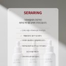 다온플래닝