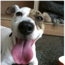 승수목장 이미지