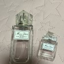 플로럴/프루티 계열의 봄여름 향수 추천 들간다! 이미지