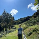 단비목장 이미지