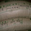 증도슬로시티영농조합법인 이미지