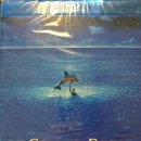 브로시스 이미지