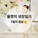 [율짱의 성장일기] 5월의 봄날🌼