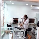 나나펫살롱 이미지