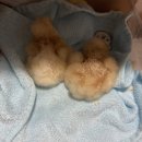 인네이트 서대문 이미지