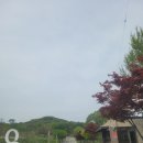 Q | 골프클럽Q 라운딩 후기 2025년4월말