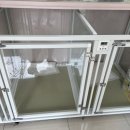 토비애견미용 이미지