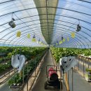 빗돌배기마을 이미지