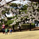 영신군이이묘 이미지