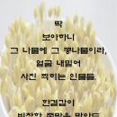 아무도없소
