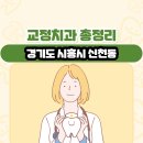 삼영아트빌 | 경기도 시흥시 신천동 교정치과 총정리