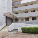 뉴청솔부동산 이미지