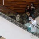 연이마장관