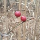 버스정류장 07-189 이미지