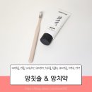 약   수 | 미세모칫솔 앙칫솔 화이트닝 프리미엄치약 앙치약 사용 후기