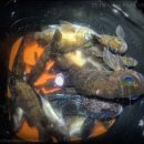 예전29-15 농로 | 후포항 내항 작은방파제에서 해보는 원투낚시, 볼락낚시 (경북 울진 후포방파제 (feat. 참군소))