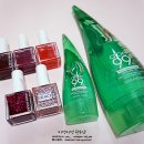 홀리카홀리카고속 - 22609 | 홀리카홀리카고속