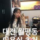 하시모토겐죠미장 이미지
