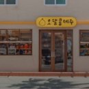 제주 협재 소품샵 <오달콤제주 & 기완상점> 솔직후기