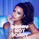 6월 4일 부터 Demi Lovato - sorry not sorry 합니다^^* 🖤민서쌤🖤 이미지