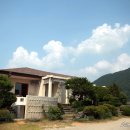 들꽃카페 이미지