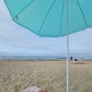 칠포해수욕장 이미지