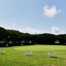 행복골프훈련소 이미지