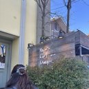 전곡우체국 | 도쿄 워홀 362 ~ 366일차 : 1년동안 즐거웠어 도쿄야!