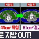 ABC쥬스공복 부작용 및 만들기 비율 효과 있게 먹는 법 이미지