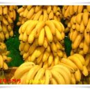 힐링&헬스 이미지