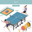 탁구/Ping pong/Table tennis 이미지