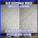 매트리스 킹 | 속초 매트리스청소｜10년 이상 사용한 킹매트리스 얼룩제거 후기