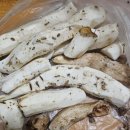야생마. 산약 이미지