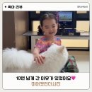미어캣 | 인천 아이와 가볼만한 곳 미어캣시티 내돈내산 후기