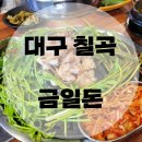 금일돈 이미지